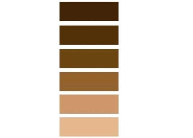 褐色和棕色的区别
